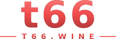 t66 logo